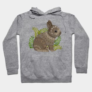 Baby Bunny Hoodie